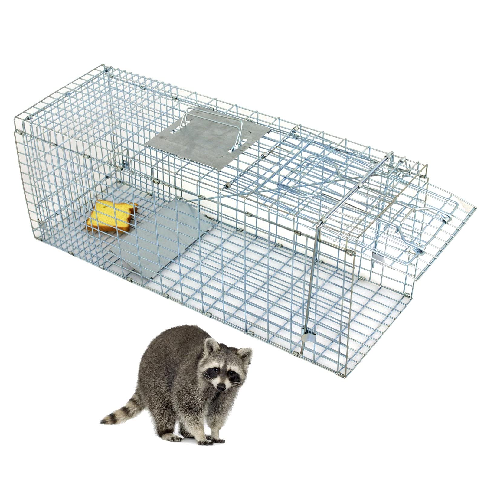 product_img5