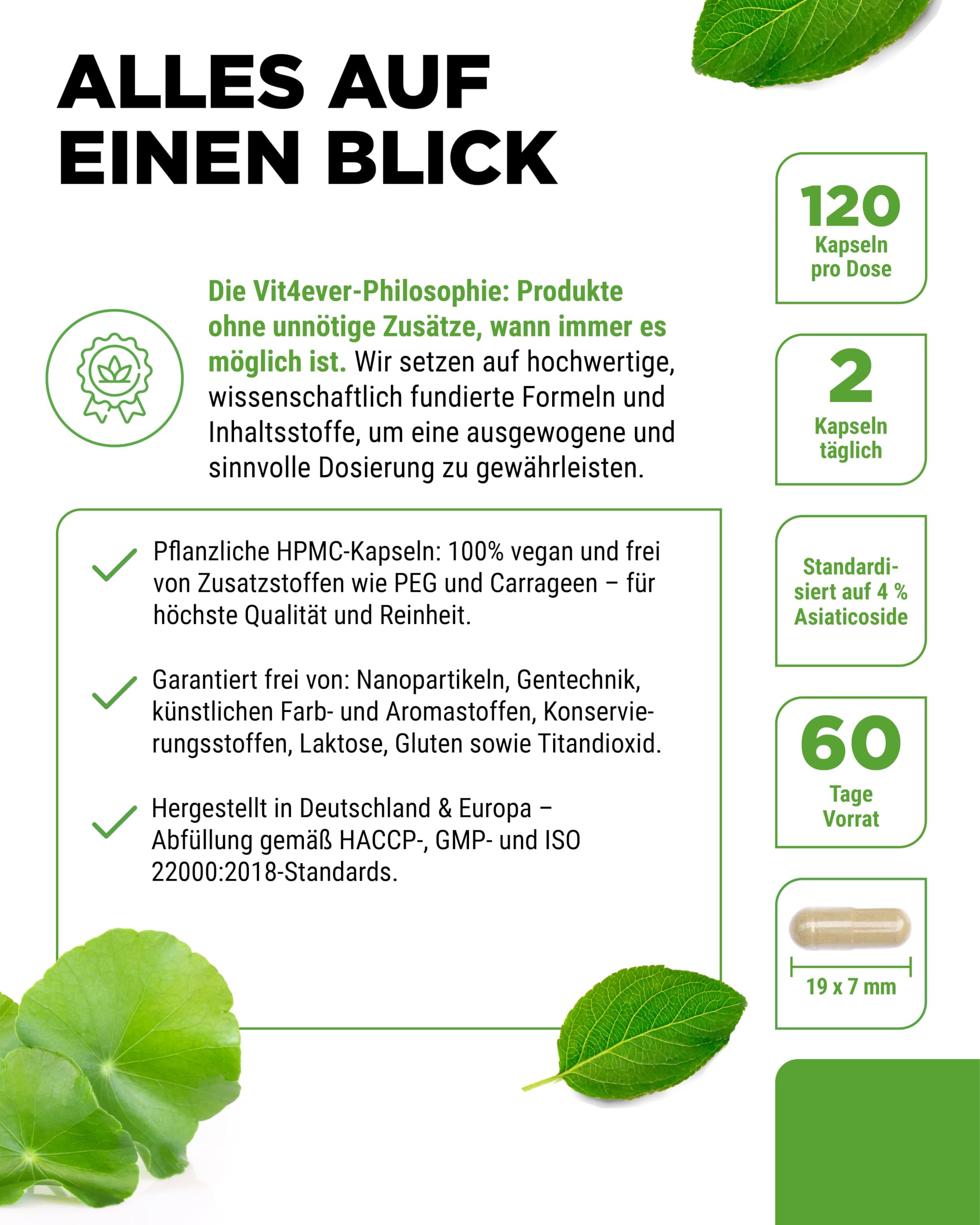 vit4ever Gotu Kola Extrakt - 120 vegane Kapseln | 1500 mg Centella asiatica Extrakt pro Tagesdosis, Standardisiert auf 4% Asiaticoside, Laborgeprüft, Hochdosiert