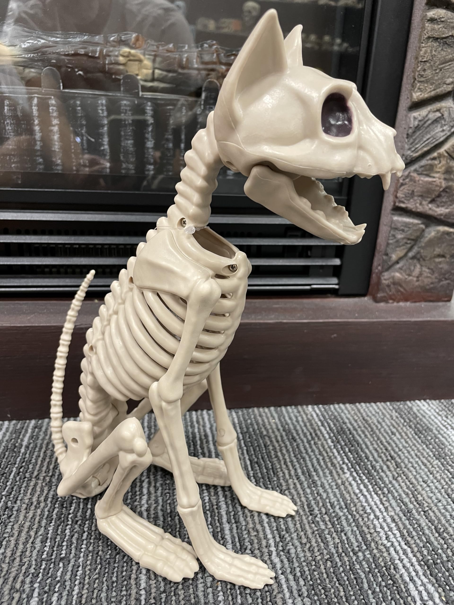 Amazon.co.jp: Crazy Bonez 座っているスケルトンキャット : おもちゃ