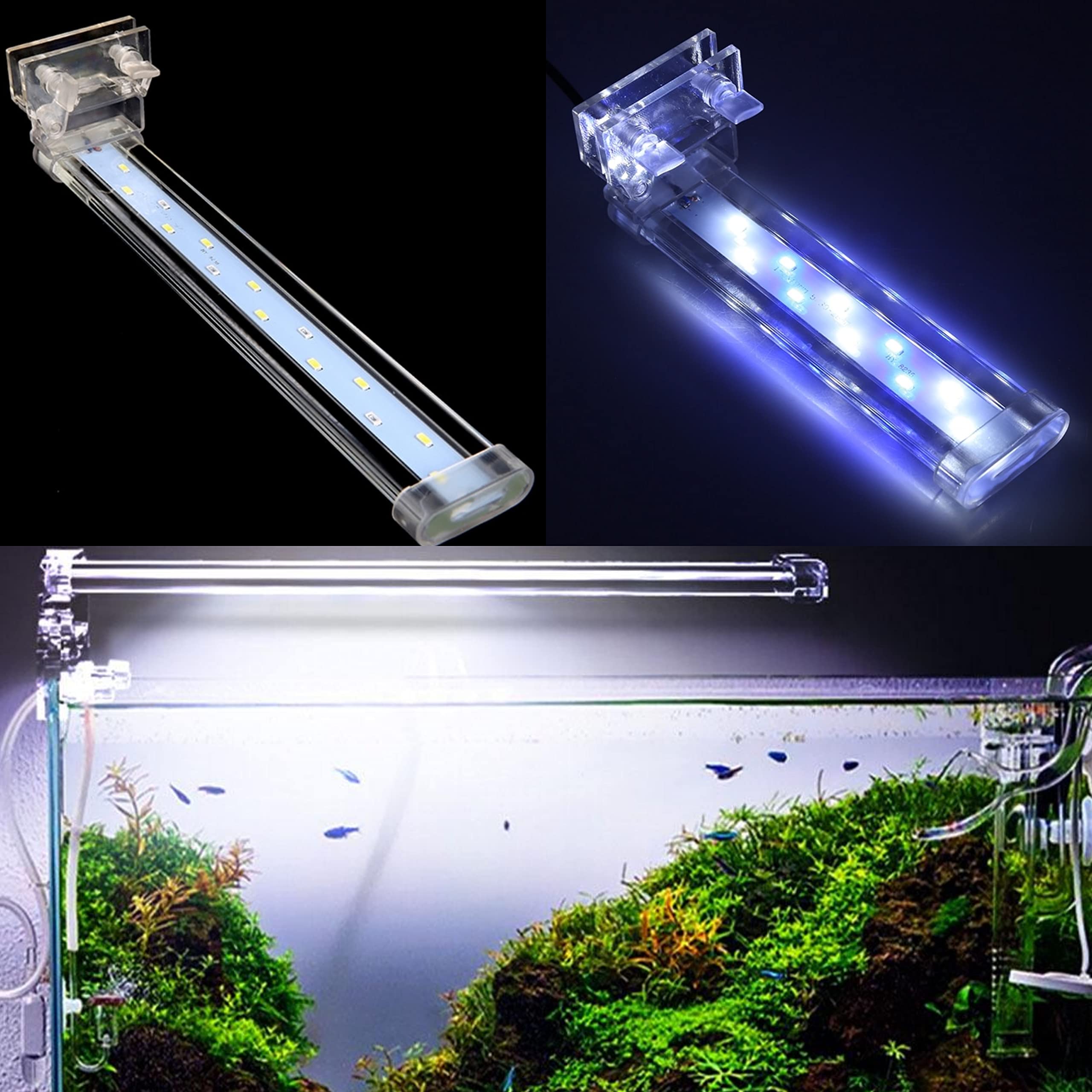 VAYINATO Rs Electrical Transparent Crystal Clip-On Aquarium Light (Color : Blue + White) (S30 - Suits Upto 2 Ft Tank) (B09XN2BZW6) Amazon Price History, Amazon Price Tracker
