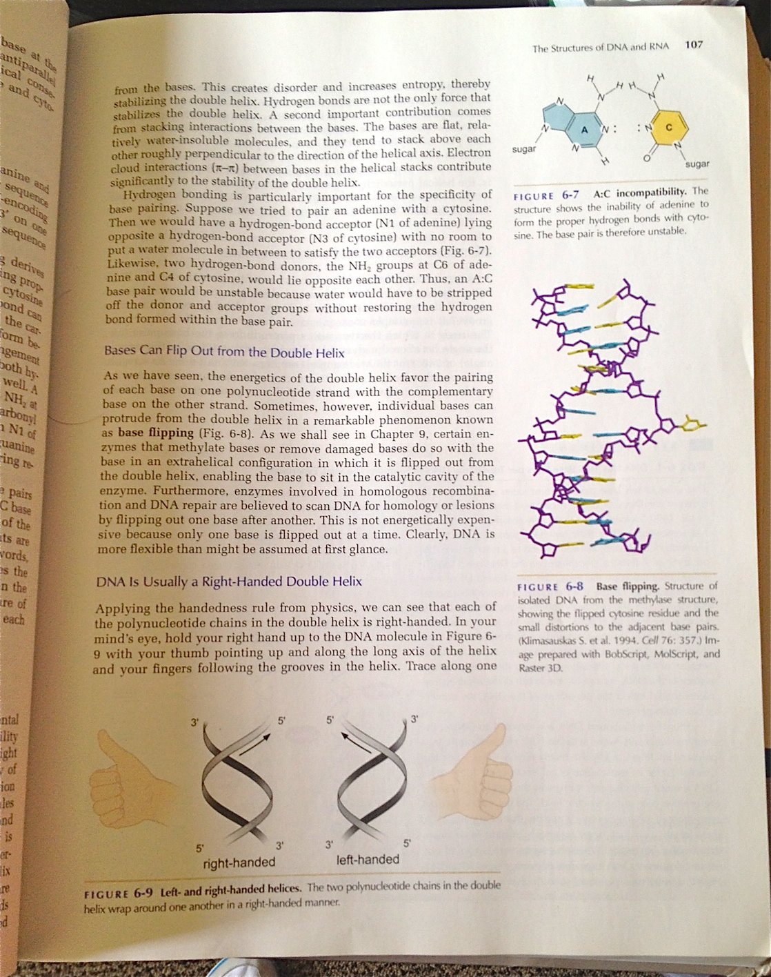 Molecular Biology of the Gene, Sixth Edition - Image 2