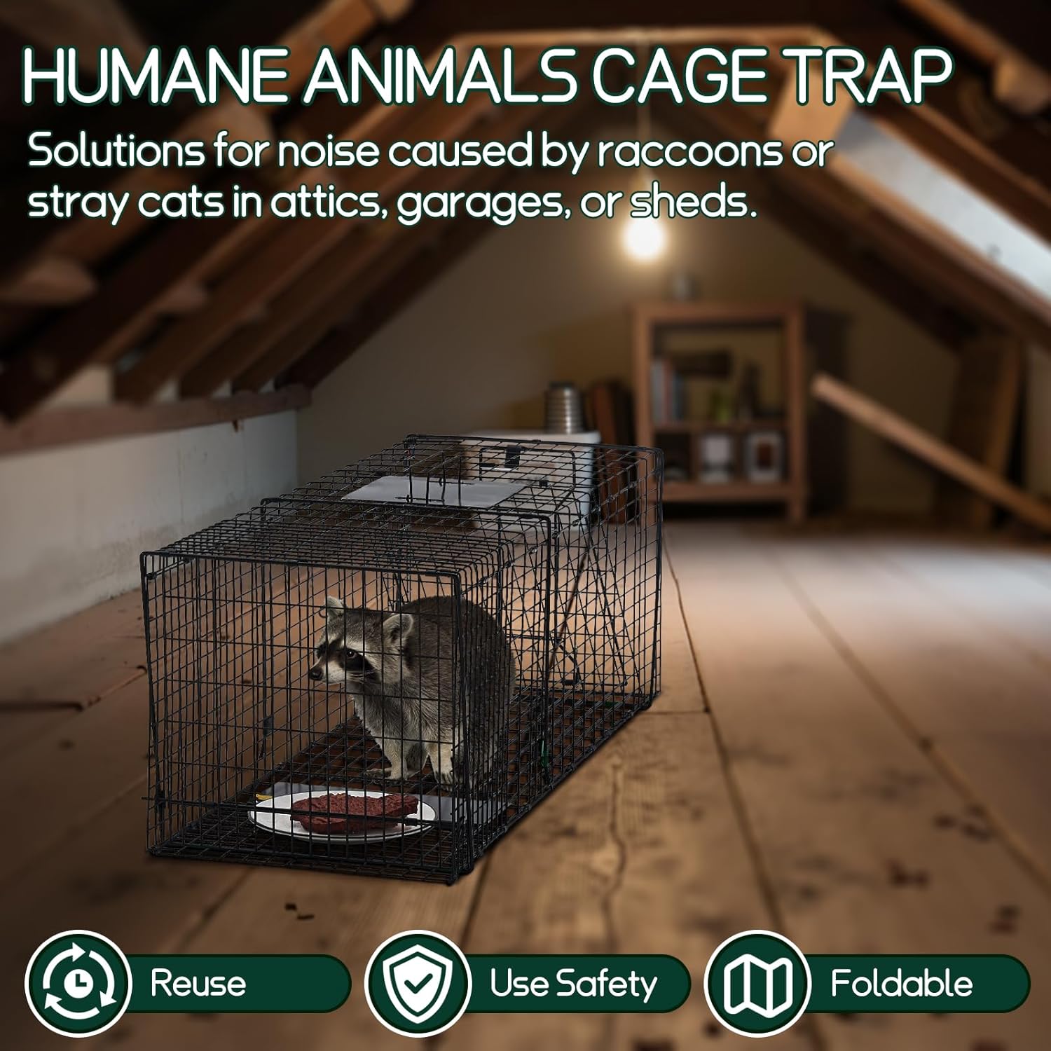 Large 37 Inch Raccoon Trap,Humane Live Animals Trap 2-Doors,Catch and Release Raccoons, Stray Cats, Skunk, Mole, Groundhog, Armadillo.