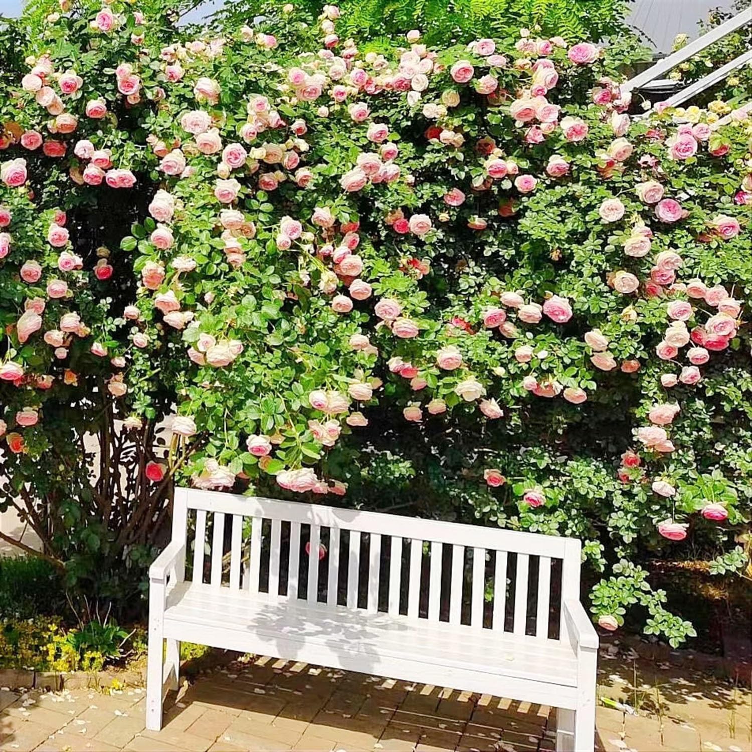 Outdoor Garden Bench Park Bench L 31.5in 47in 55in Patio Furniture Bench for Backyard Deck Lawn Poolside Porch Indoor and Outdoor Accent(80cm/31.5in)