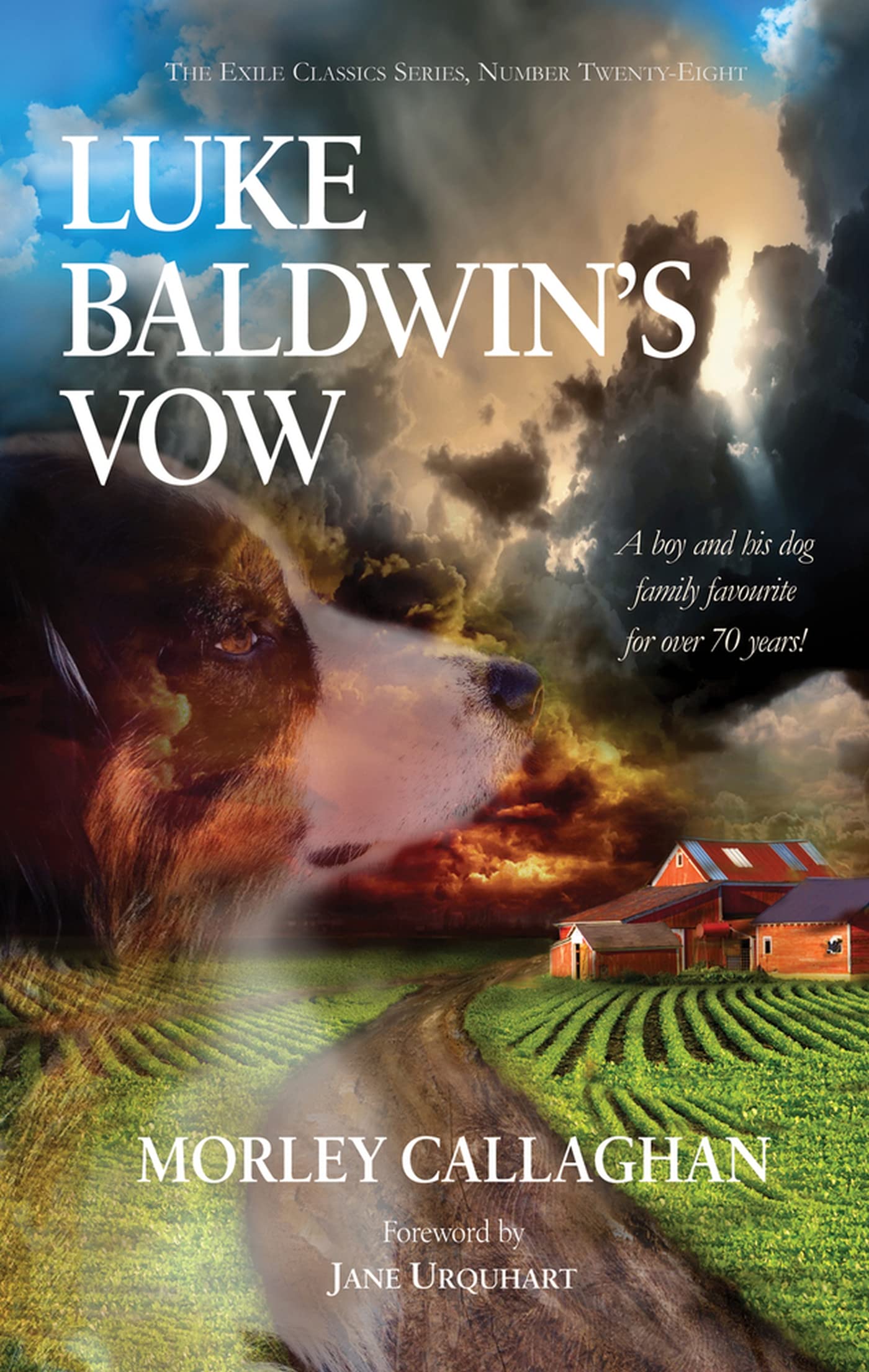 Luke Baldwin's Vow Paperback – Big Book, 1 November 2016