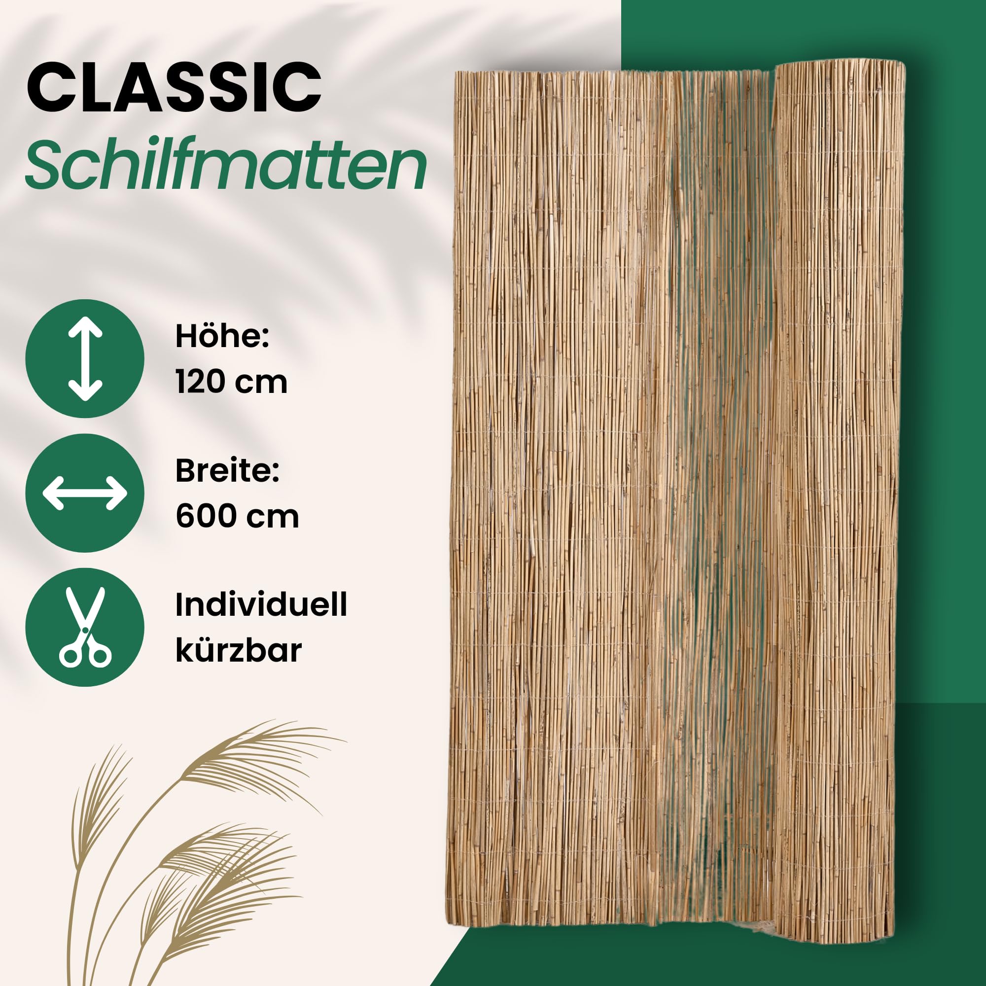 Schilf Sichtschutz | Schilfrohrmatte Classic | 120 x 600 cm | Natur Schilfmatte | Sichtschutzmatte & Windschutz für Balkon, Terrasse, Zaun & Garten | Für Indoor & Outdoor