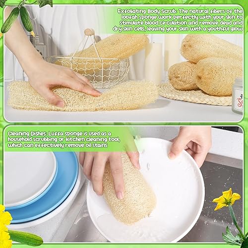 6-Pack Natural Loofah Sponges for Body & Kitchen