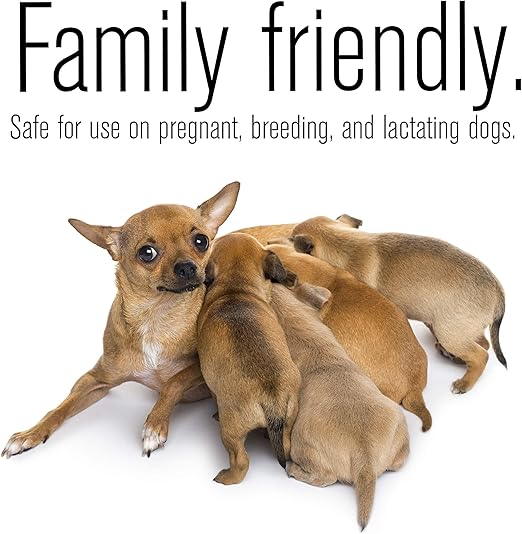 zoguard plus vs frontline