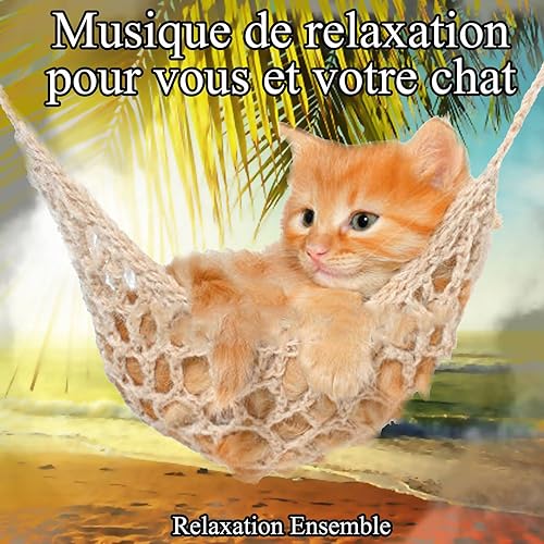 Musique Pour Votre Chat De Relaxation Ensemble Sur Amazon Music Amazon Fr