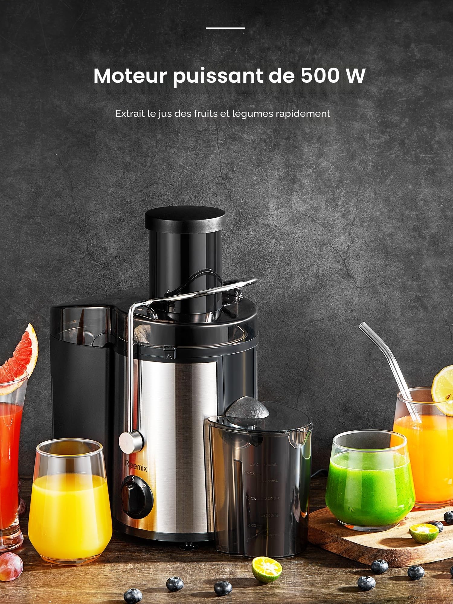 Reemix Centrifugeuse Extracteur de Jus, Centrifugeuse Fruits et Legumes à 2 Vitesses, 65 MM Large Bouche, Pieds Antidérapants, Brosse de Nettoyage Incluse (noir, 500W)