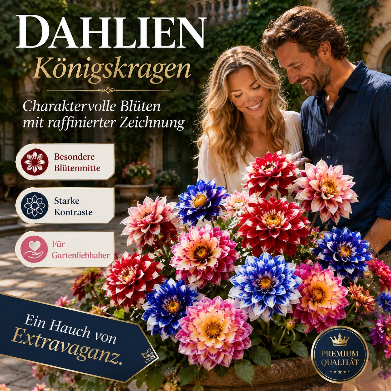 Ideale Dahlien, Super Kollektion, Geeignet FüR AnfäNger, Gartendeko FüR DraußEn, für DIY, Sehr Exklusiv, -10 Dahlien -G