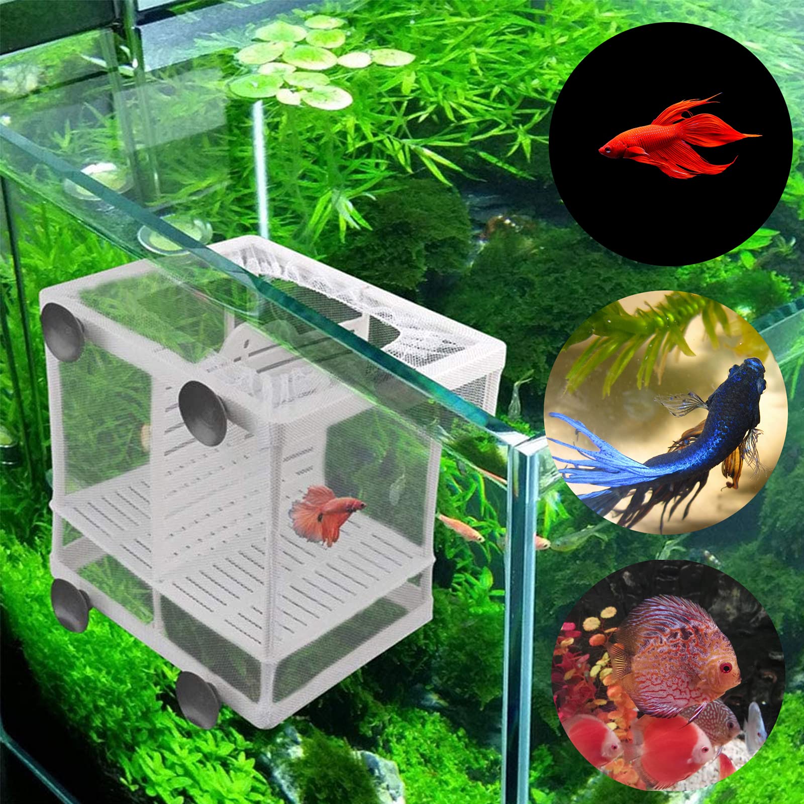 2 Pezzi Scatola di Allevamento, Scatola di Allevamento in Plastica, Incubatrice per Pesci D'acquario, Adatto per Acquari, Isolare Piantine e Sostenere l'incubazione e la Riproduzione (Bianco)
