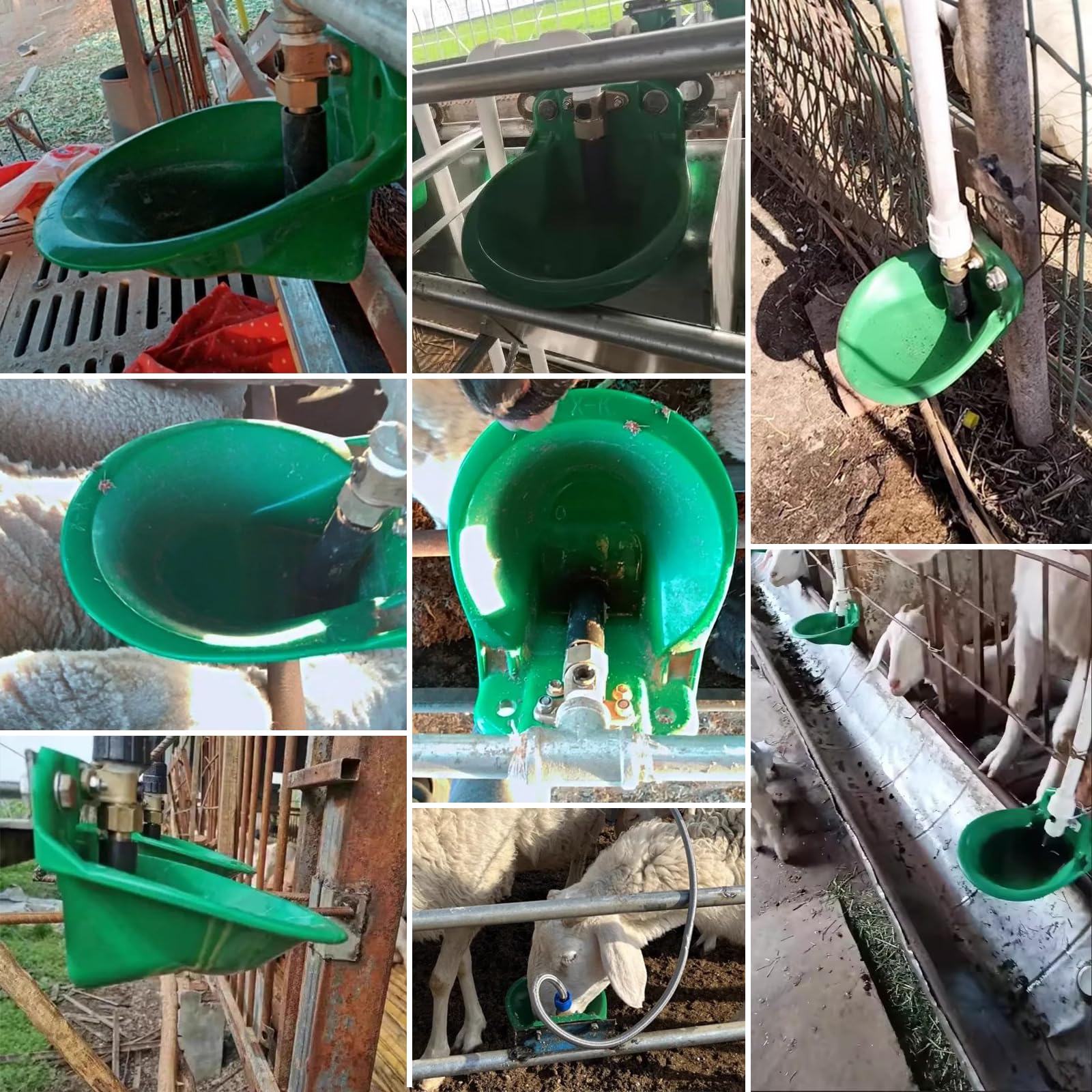 Piscina automatica per pecore, bevitori da bestiame con fori di scarico, approvvigionamento idrico automatico per cavalli, bovini, pecore, suini e cani, beve di salice, verde