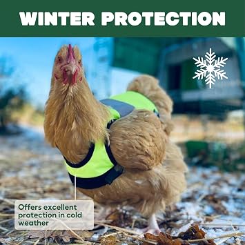 Omlet High-Vis Chicken Jacket | Warm Winter Hen Saddle | Insulation and Cold Weather Protection for Your Hen | Breathable, Showerproof Fabric | Yellow