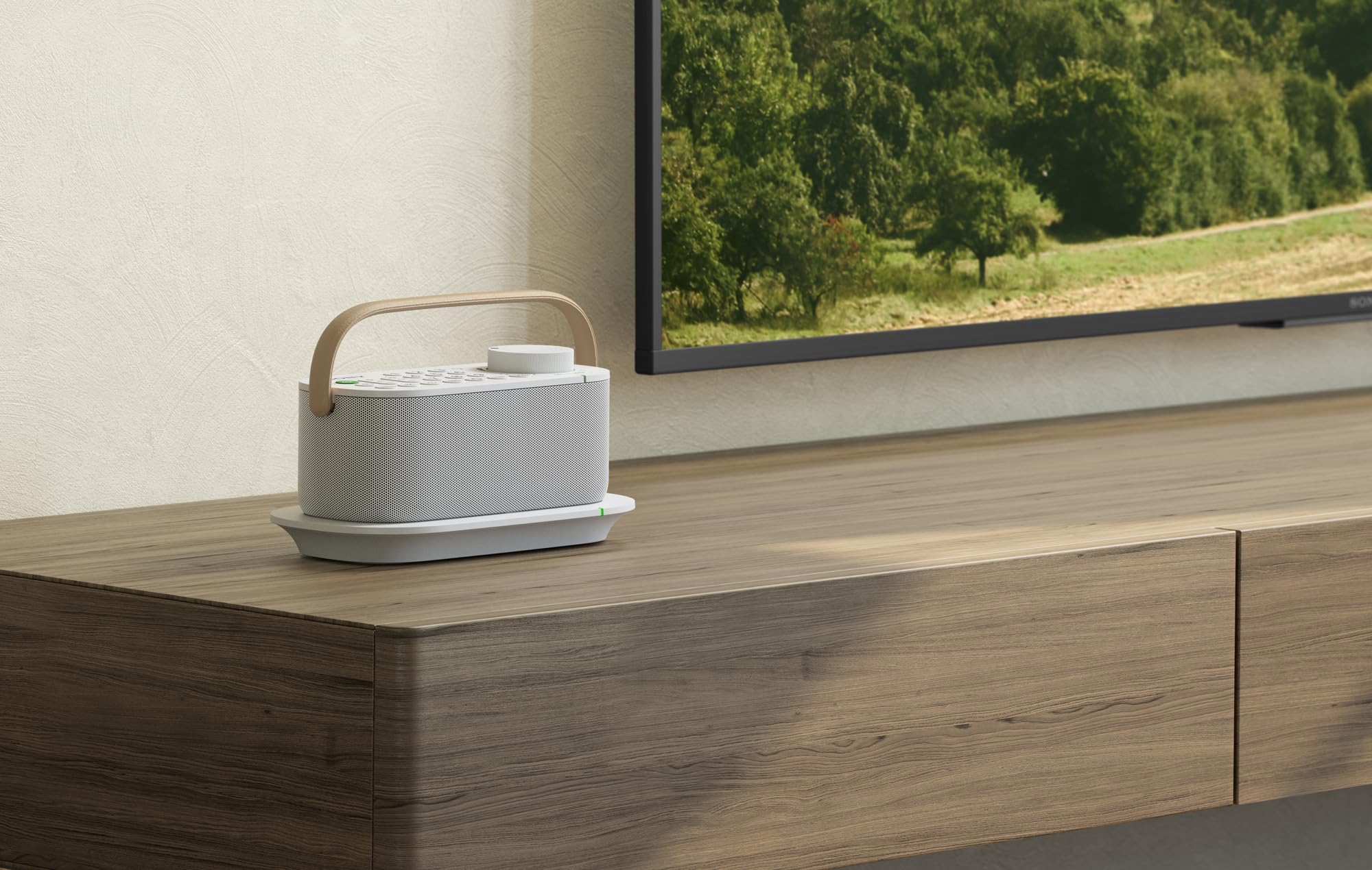 Sony Kabelloser Tragbarer TV-Lautsprecher für Hörgeschädigte und Senioren - Weiß (SRSLSR200.CE7), Einheitsgröße