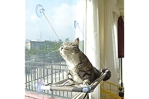 Cat Window Perch Outdoor and Indoor-A Cozy and Safe Spot for Your Feline Friend
