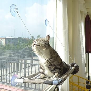 NOYAL Cat Window Perch Seat Hammock Strong Suction Cups Holds Up to 30lbs