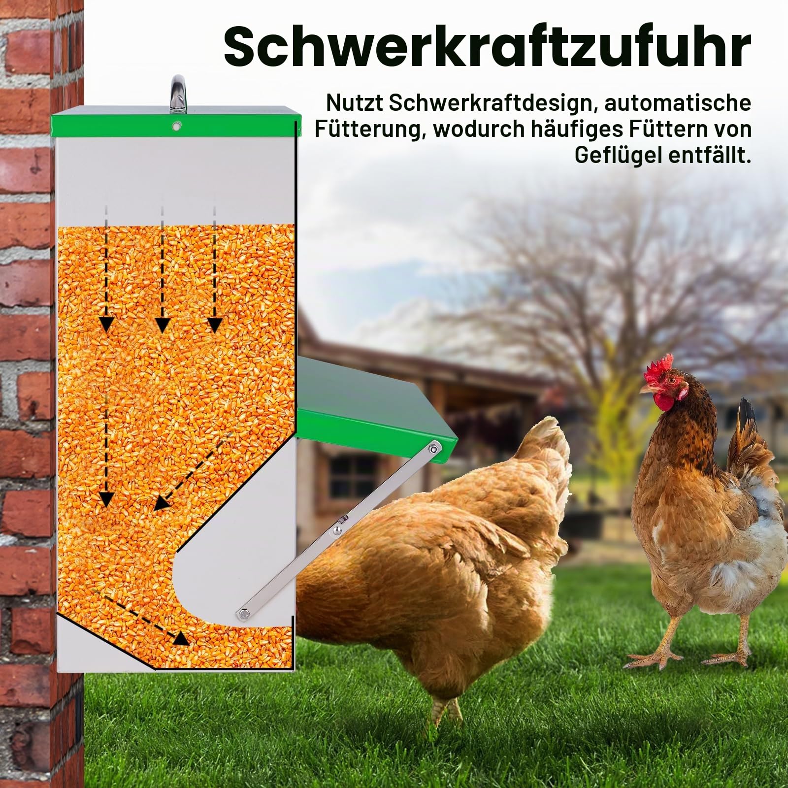 Futterautomat Hühner 11Kg für Hühner, Enten & Wachteln im Außenbereich