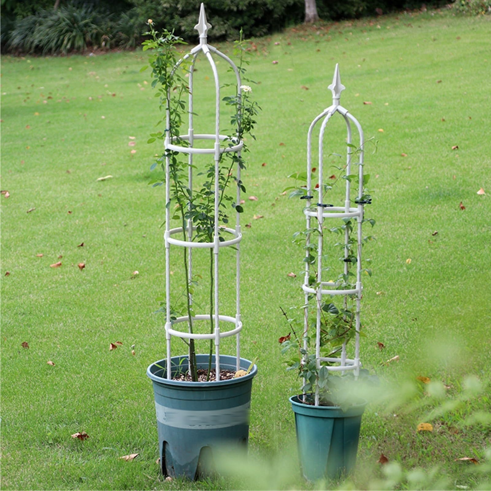 Obelischi Metallici da Giardino Supporto per Piante Rampicanti