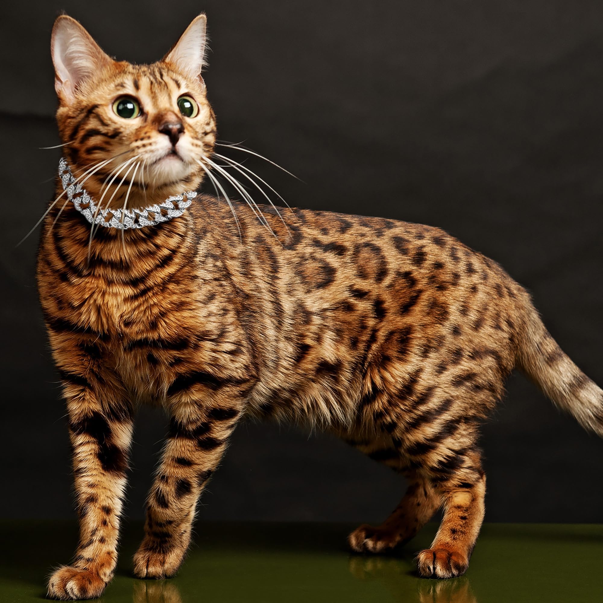 Hillban Glitter Diamond Cat Collar – Gold Chain Necklace With Paw Charm, Bell & ID Tag, 10 Inch For Small Cats