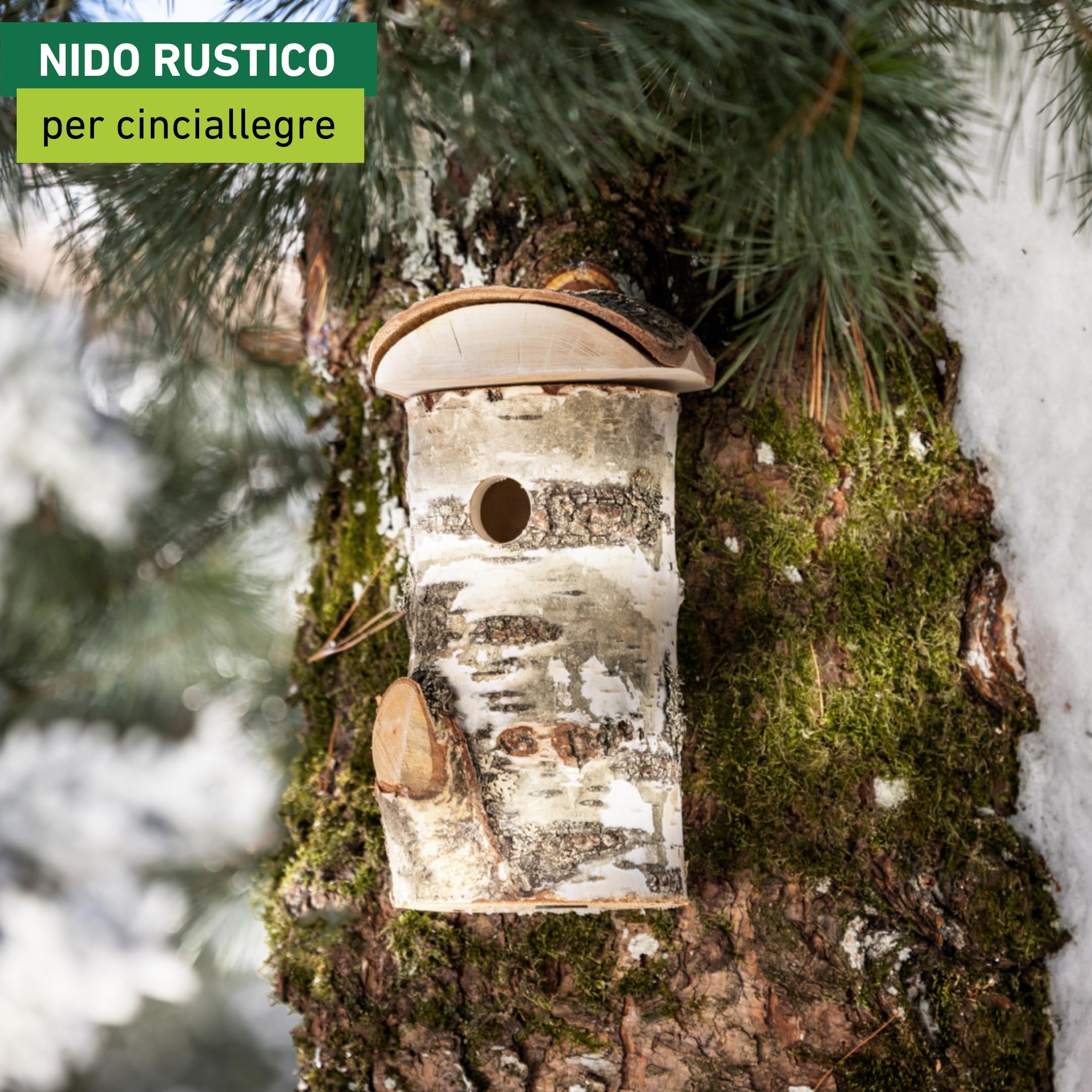 Windhager cassetta nido per uccelli Wildkogel, foro dingresso Ø 28 mm, tetto rimovibile, legno di betulla, casetta per uccelli, cassetta nido per uccelli da appendere, durevole