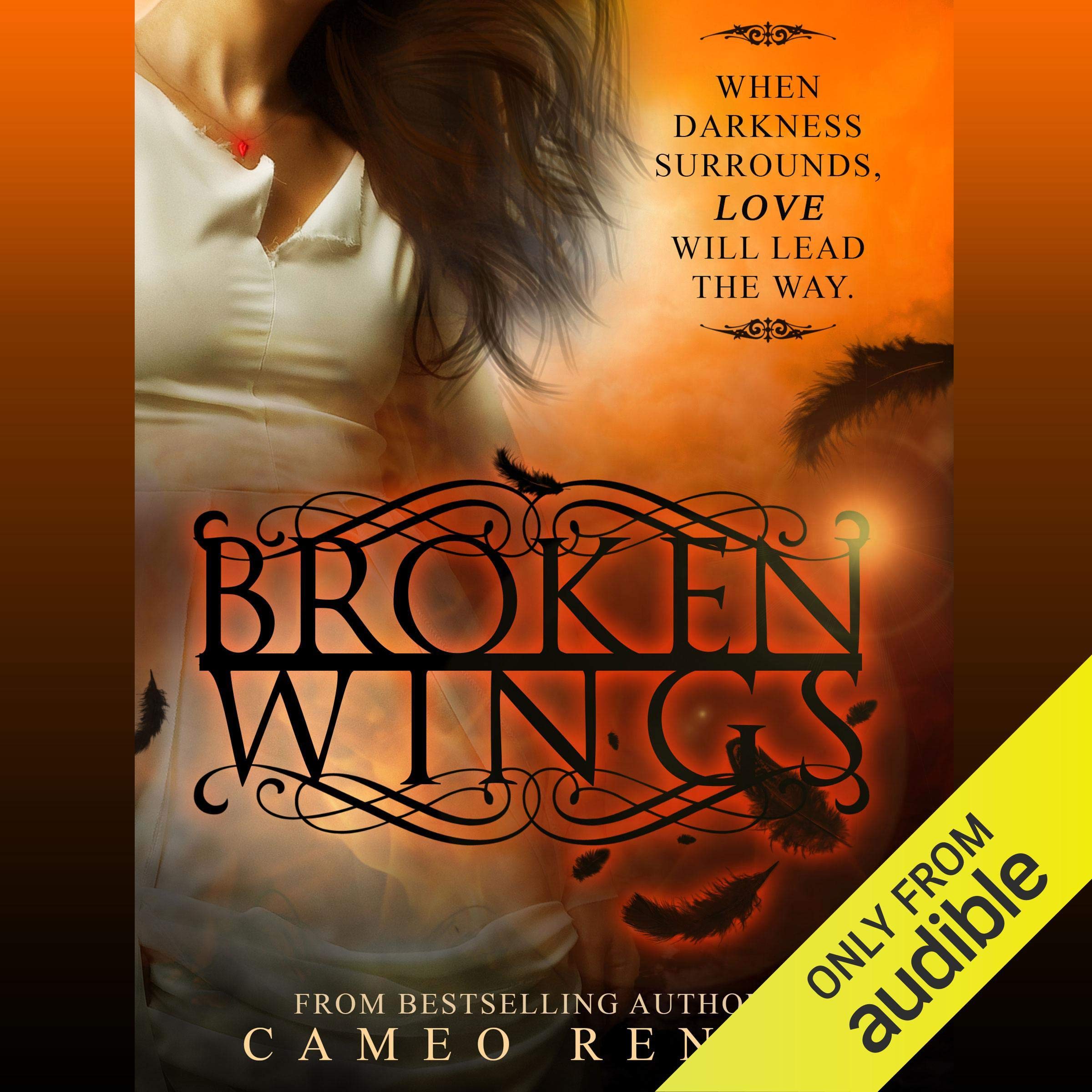 Cover art for Broken Wings