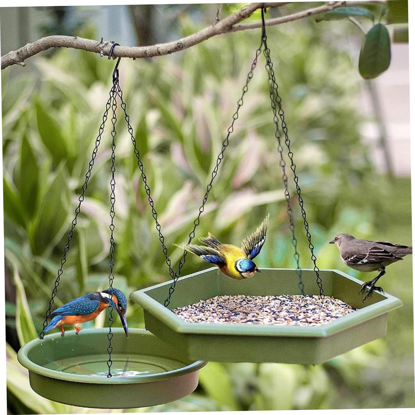 Comedero Colgante para pájaros de 1600 ml para Exteriores con Bebedero, 2 en 1, comedero para jardín, Color Verde.