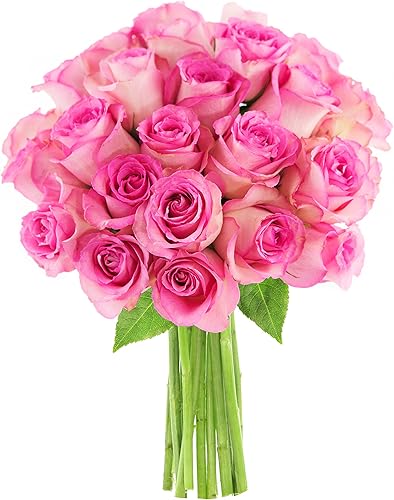 KaBloom Entrega por la noche colección Natural-State, ramo fresco de San Valentín de 25, rosas rosas, 2.5 libras