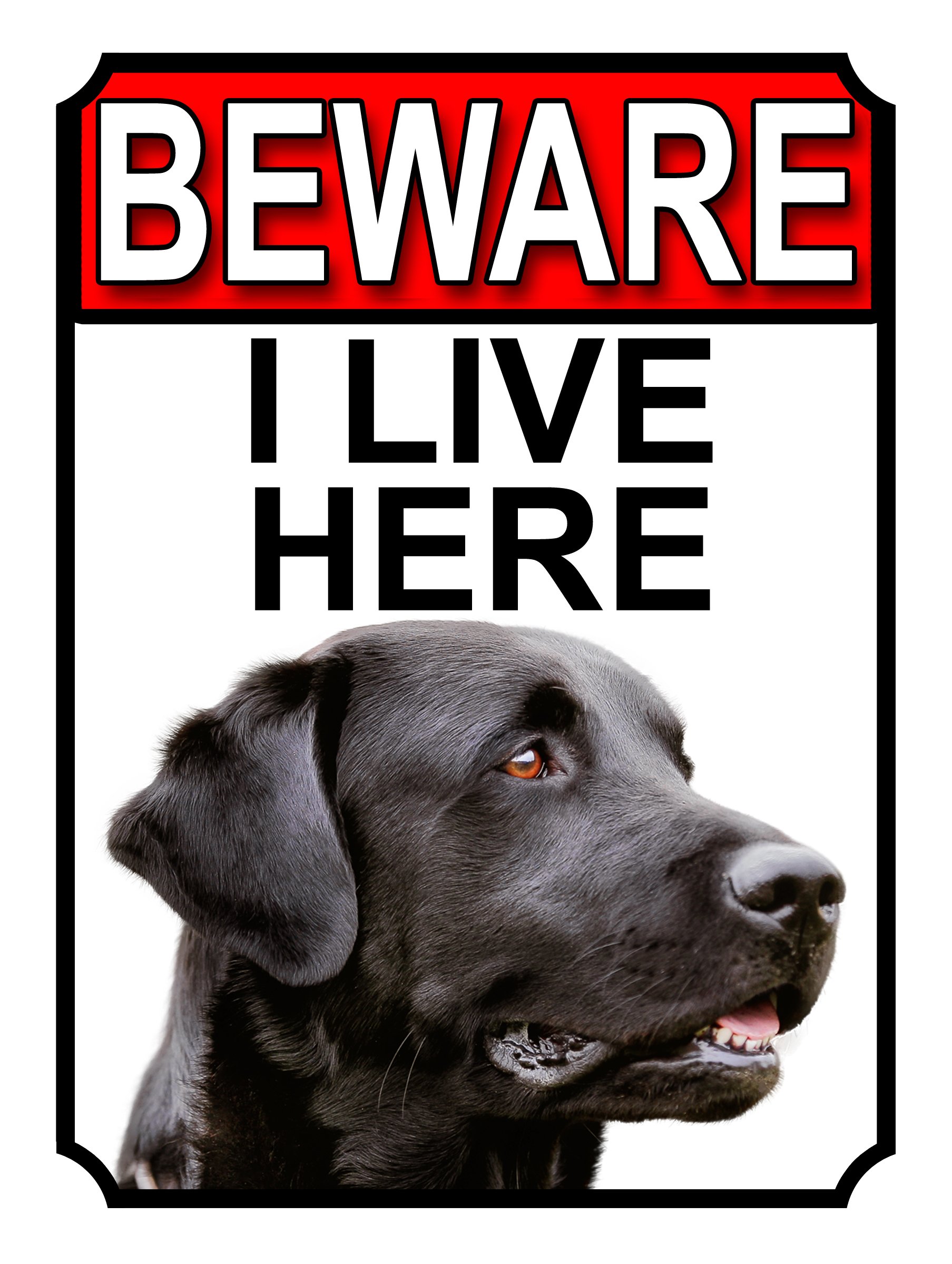 BEWARE I LIVE HERE METAL GATE SIGN BLACK LABRADOR 200MM X 10MM (1043H1)