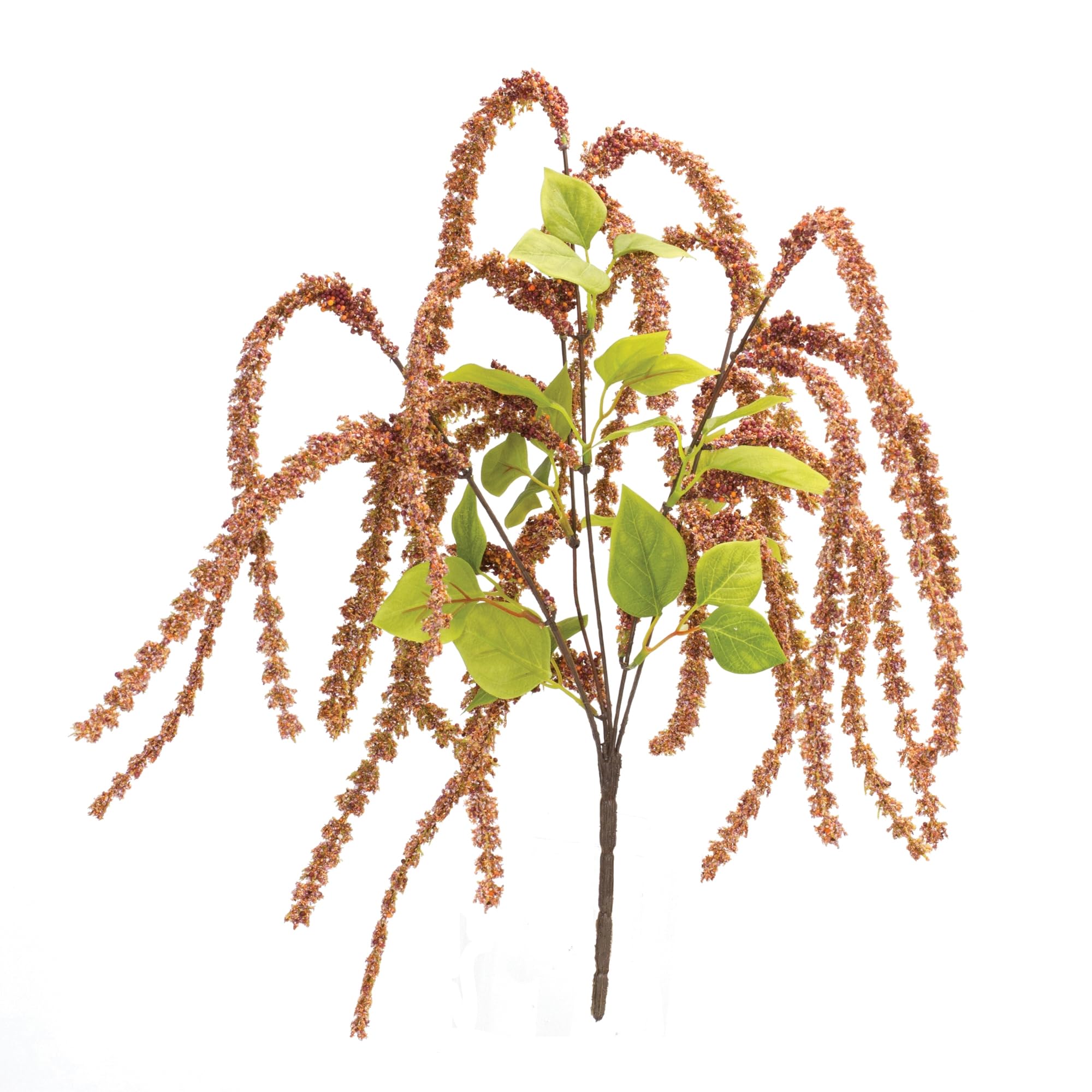 Generic Bush (Set of 6) 26.5