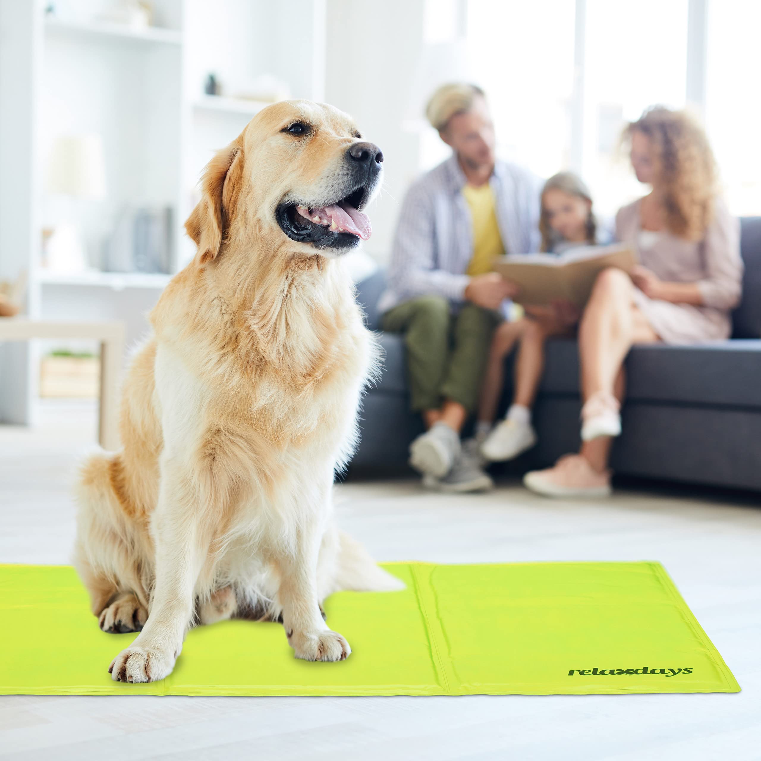 Relaxdays Tapis rafraîchissant pour Chien, 60 x 100 cm, Matelas Auto-rafraichissant, Gel, pour Vos Animaux, Vert