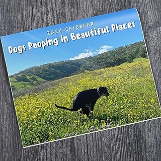 2024 Calendar, Funny Dogs Pooping in Beautiful Places Wall Calendar, Daily Grid Monthly Calendar, Gag Gifts Calendar Family Calendar to Organizing Your Life (Grassland Dog)
