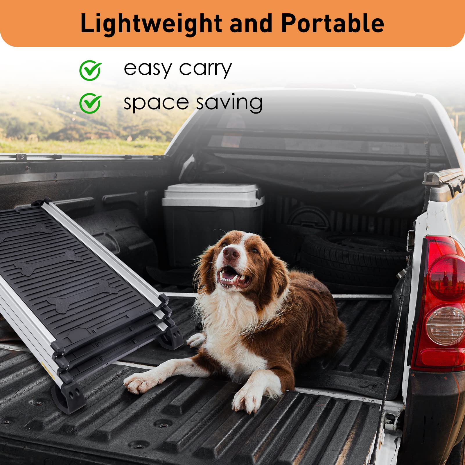 PetSafe Happy Ride Extra Long Telescoping Dog Ramp Petco