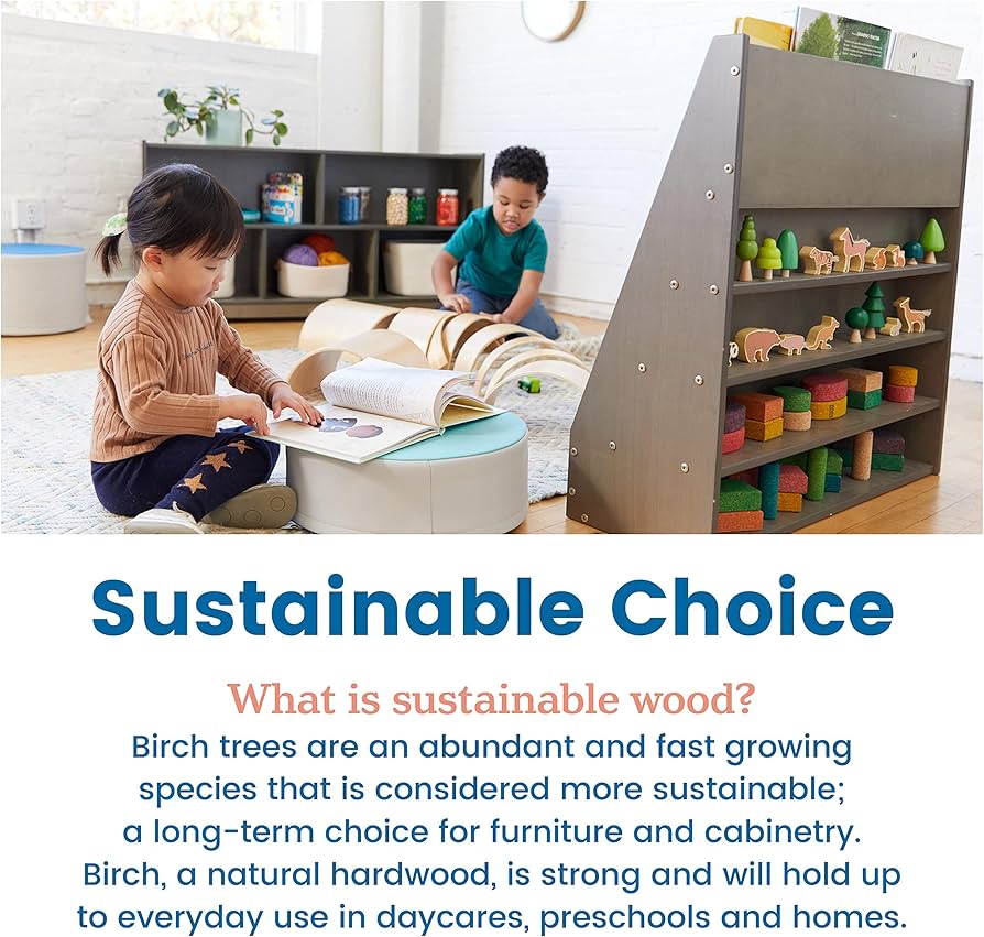 Amazon.com: ECR4Kids Streamline Single-Sided Book Display with