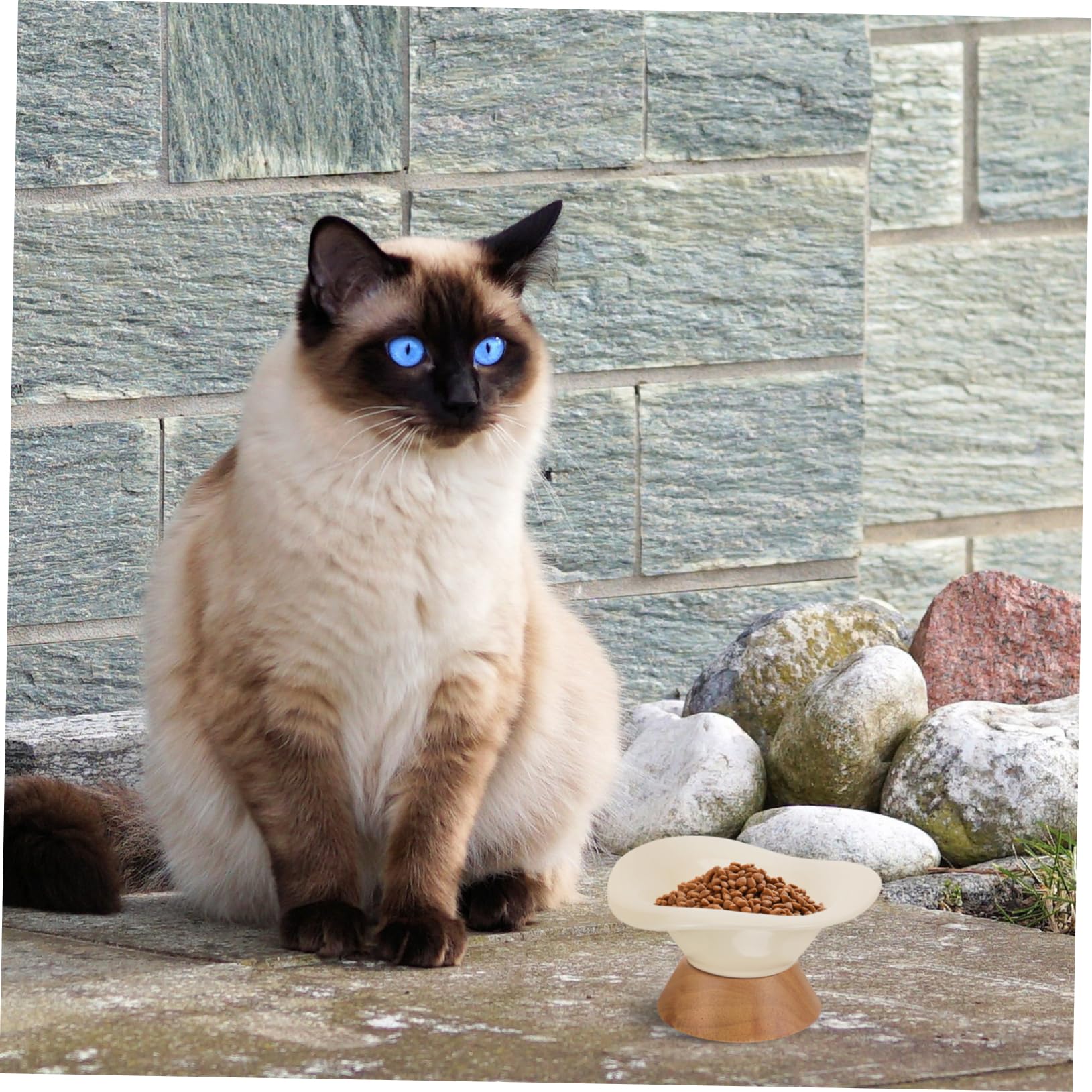 Comedero Elevado de Cerámica para Gatos, Cuenco Redondo Beige | Gran Capacidad, Superficie Lisa y Fácil de Limpiar, Diseño sin Rebabas y Uso Práctico para Mascotas