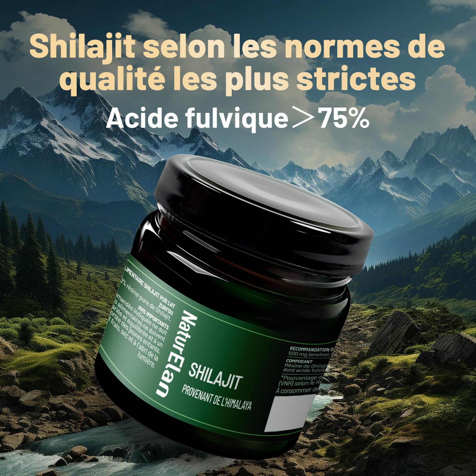 Shilajit Pure Himalaya - 75% d'acide fulvique hautement dosé - 35g avec acide humique naturel et minéraux, approvisionnement pour 70 jours, végétalien et sans additifs, produit en Allemagne
