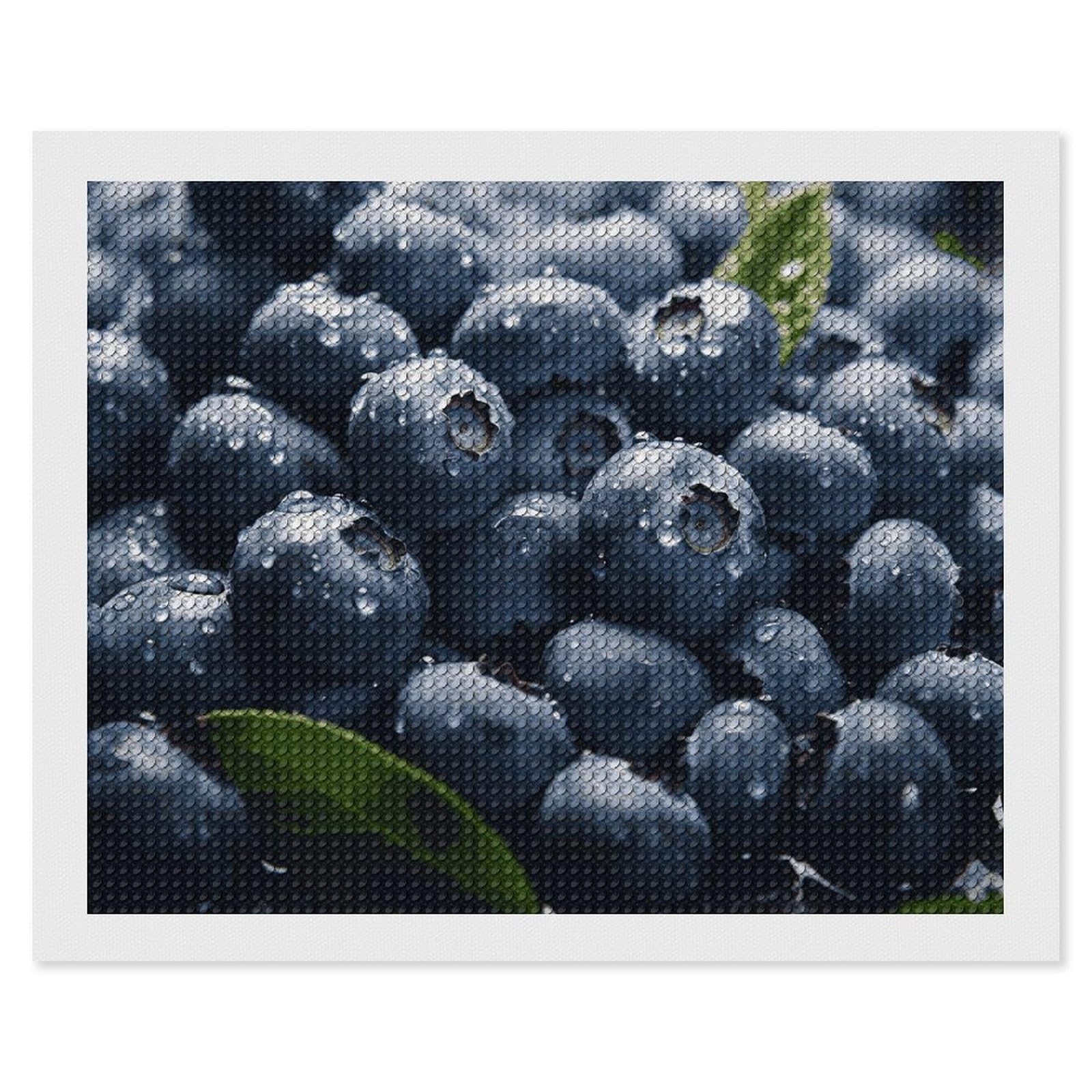 Delicious Blueberry Diamond Art Kits for Adults, DIY 5D Diamonds Painting Kits for Beginner, Round Full Drill Diamond Dots Painting, 16"x20" Diamonds Pictures Gem Art and Crafts Wall Decor