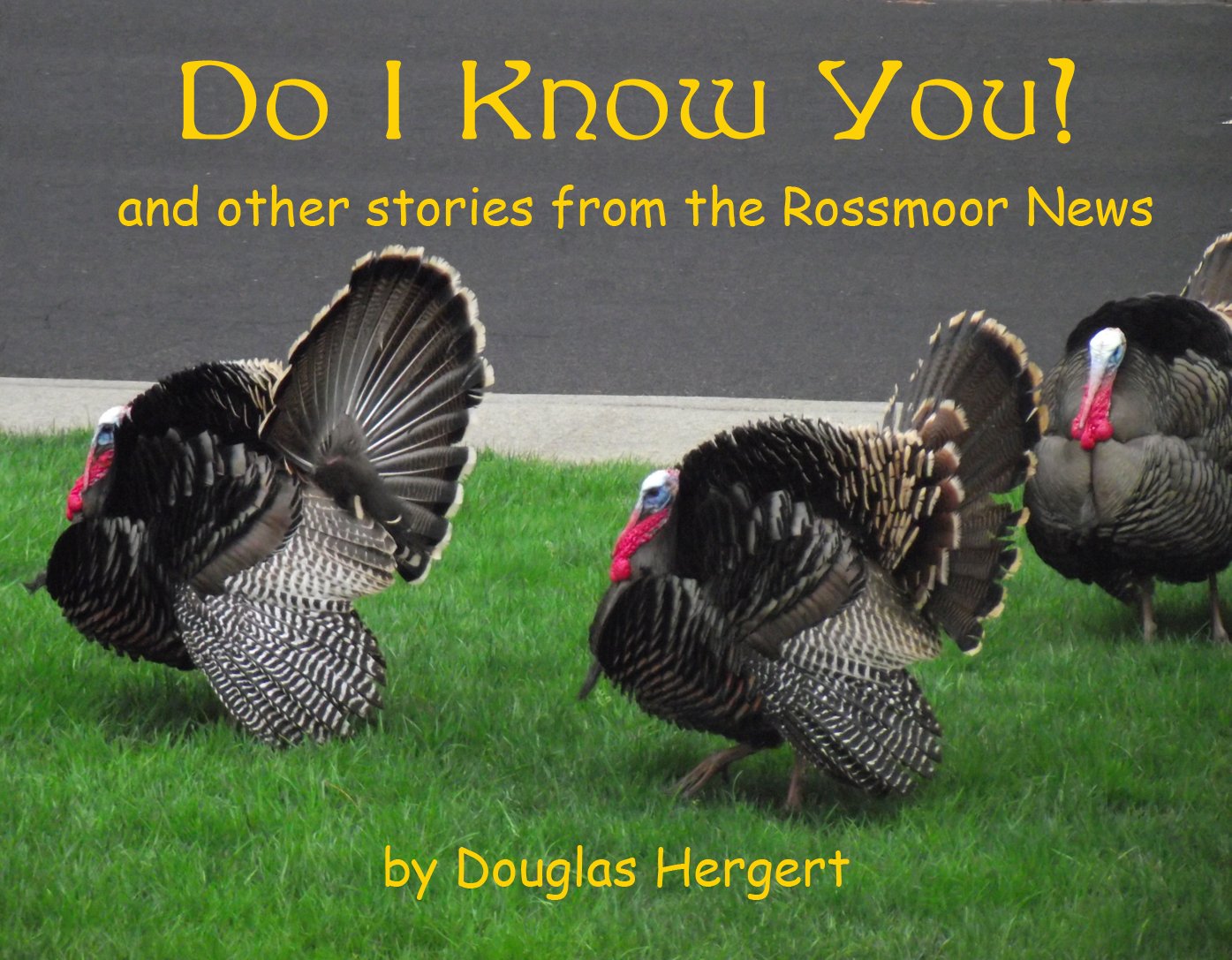 Do I Know You? and Other Stories from The Rossmoor News