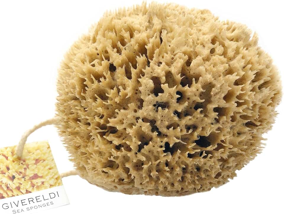 Amazon.co.uk real sponge