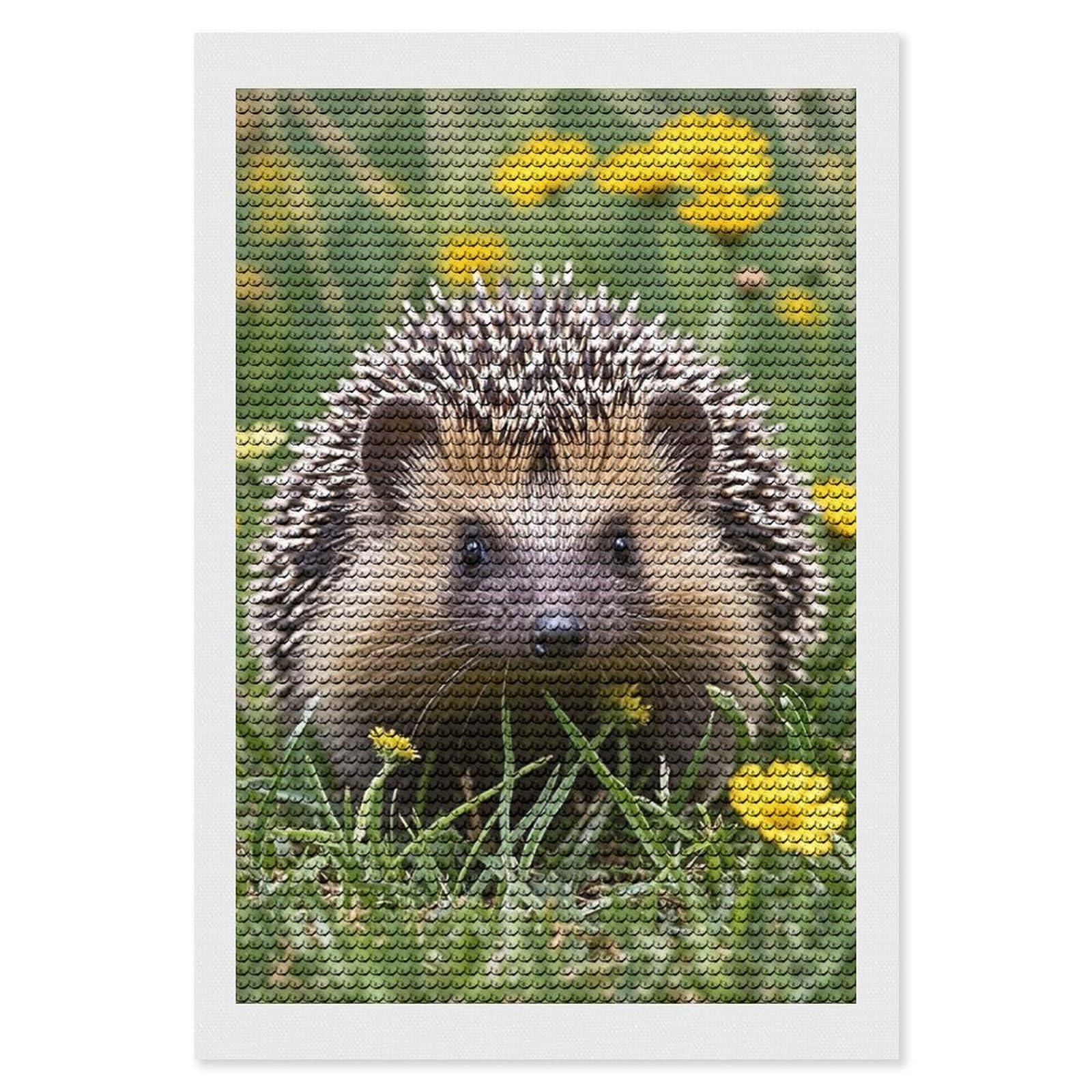 Hedgehog Diamond Painting Kits for Adults, DIY 5D Diamond Painting Kits for Beginners, Round Full Drill Diamond Dots Paintings, Diamonds Pictures Gem Art for Crafts Home Decor 8"x12"