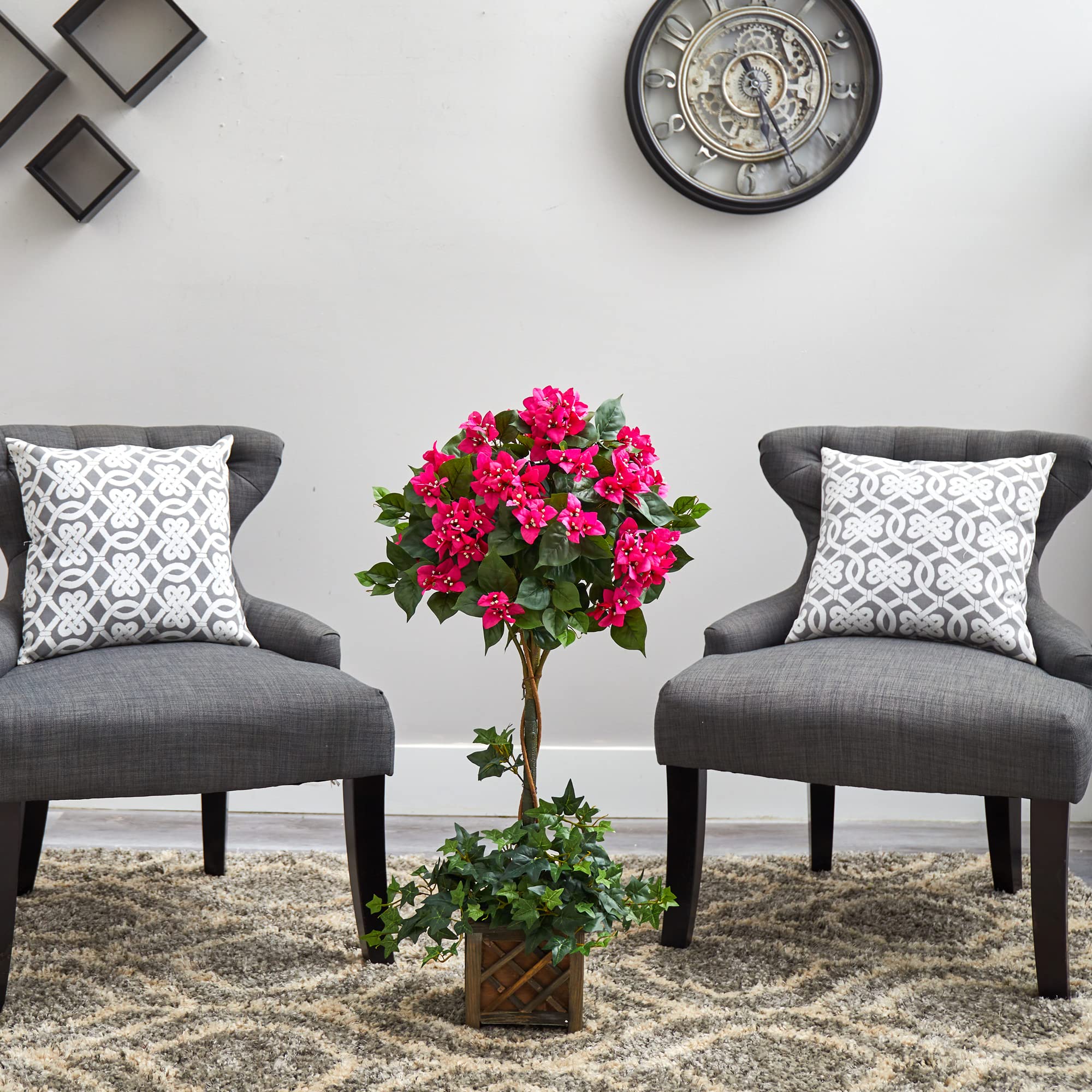 Growing Bougainvillea in Pots | Bougainvillea Care in Containers