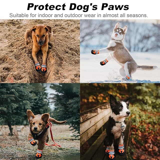 Foto 7 de 8 de AMOMYDOG Zapatos para Perros, Juego de 4 Botas Con Correas Reflectantes Ajustables y Suela Antideslizante