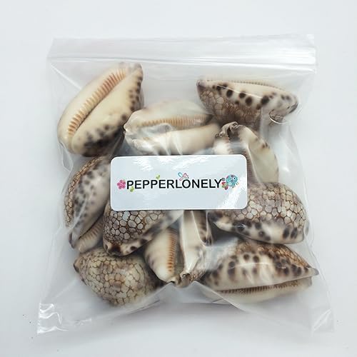 Miniatura 4 de PEPPERLONELY 10 conchas marinas de caurí arlequín, 2 pulgadas  3 pulgadas