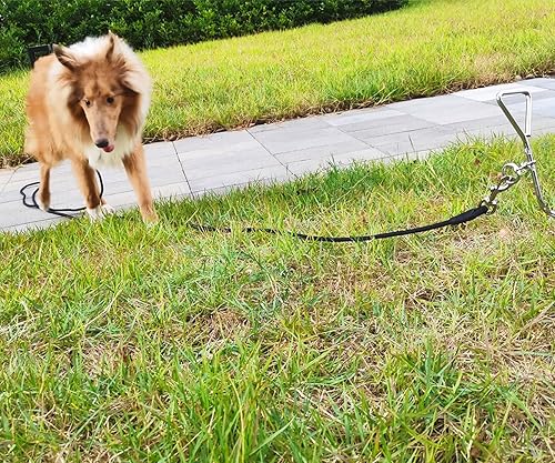 Miniatura 8 de SEPXUFORE Correa para perro de cuerda para atar, 810152030 pies, cable de nailon resistente para perros medianos y grandes, interiores y exteriores,