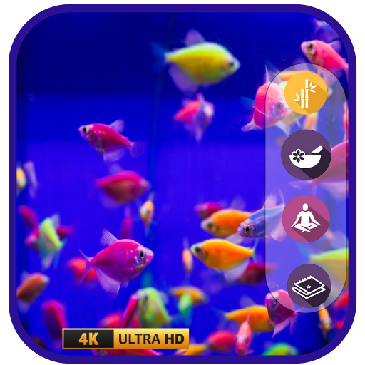 Aquarium Simulator: Friedlicher Bildschirmschoner für Meereslebewesen zur Entspannung