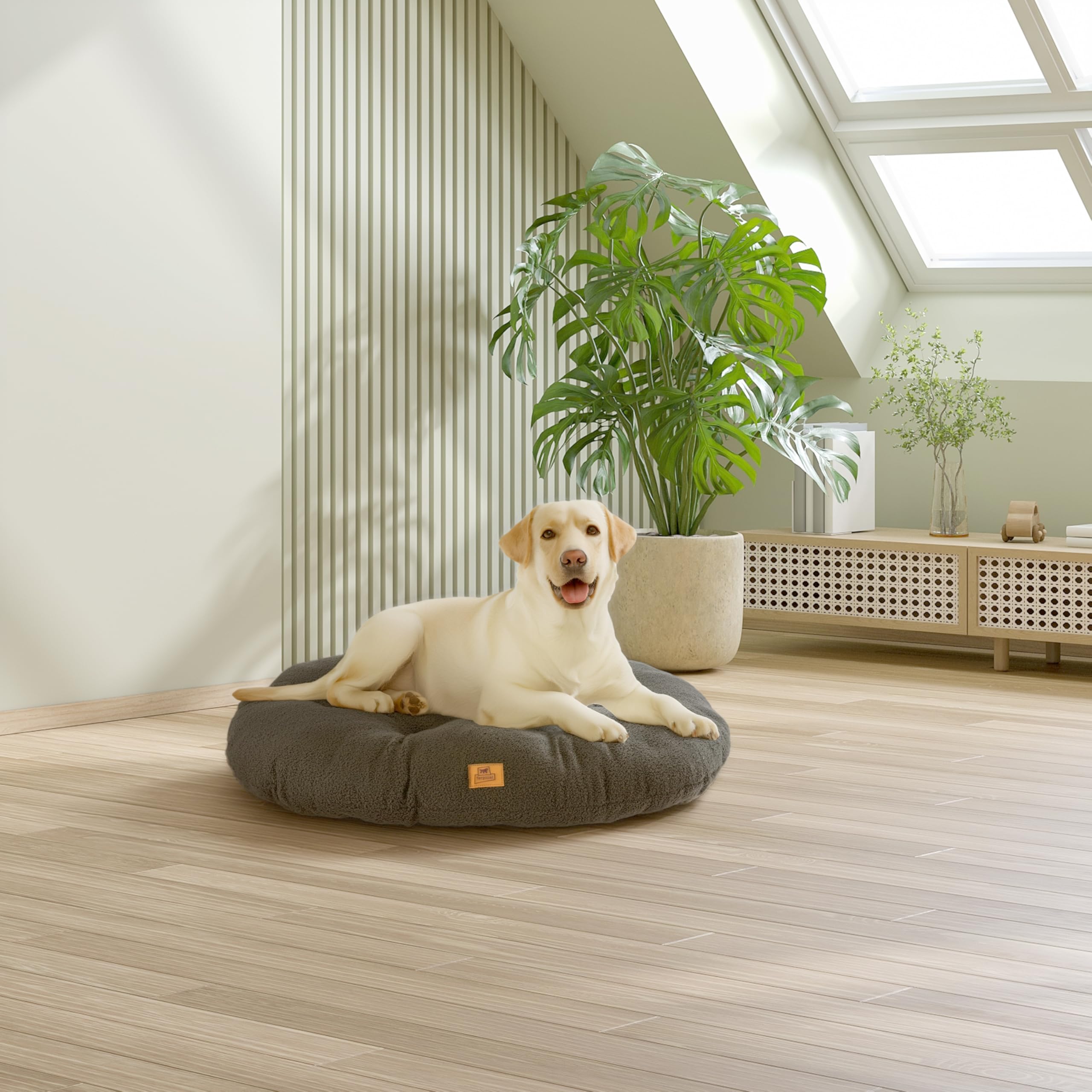Ferplast Cuccia Cane Cuscino per Cani grandi, Cuccia Gatto, Tessuto Lavabile in Bouclé Sintetico, Imbottitura Soffice, 85 x 55 x h 5 cm. Verde