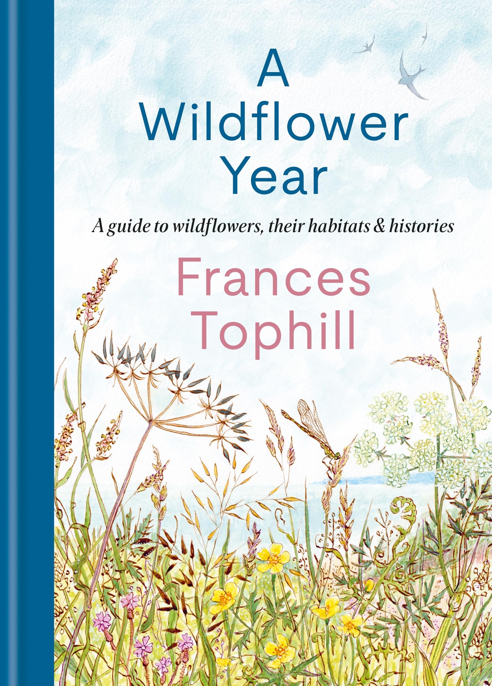 Francis Tophill Wildflower Year | A Wildflower Year Guide