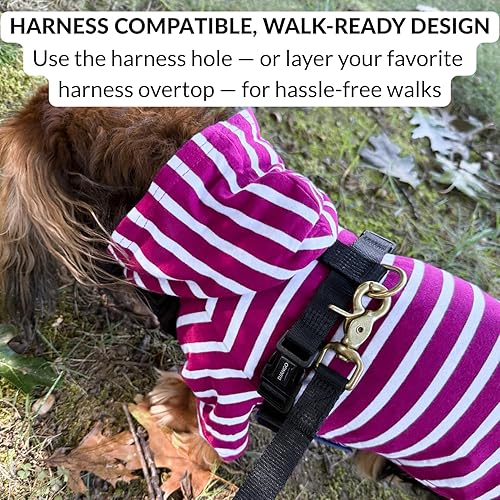 Miniatura 5 de DJANGO Sudadera con capucha para perro y suéter súper suave y elástico con cintura elástica y portal de correa (S, Boysenberry)