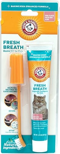 Arm & Hammer Kit dental para mascotas para gatos | Elimina el mal aliento | Juego de 3 piezas incluye pasta de dientes para gatos, cepillo de