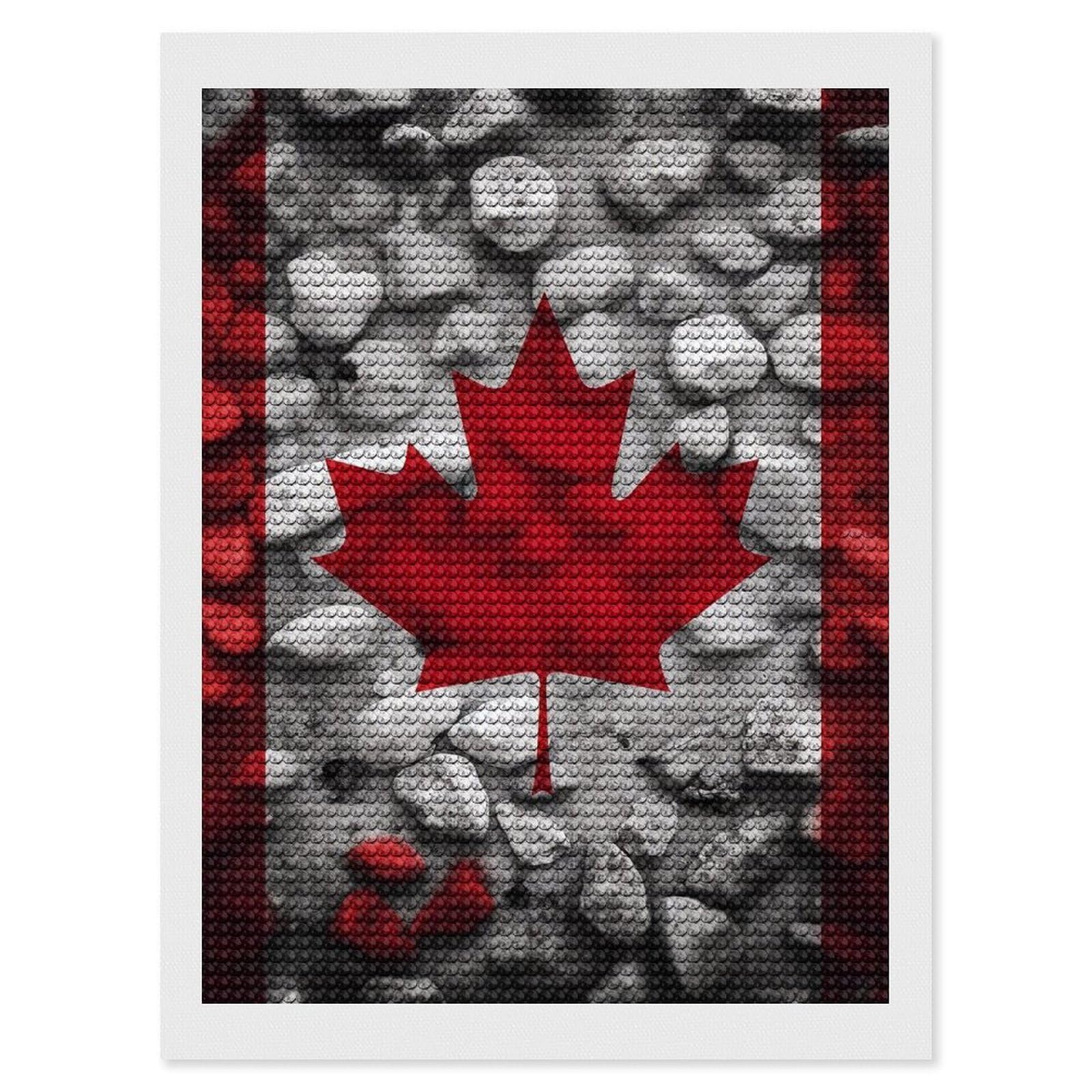 FodPand Diamond Art Kits for Adults, 5D Aurora Diamond Painting Kits for Beginners, Canada Flag Wallpapers DIY Full Drill Dots Gem Art Paint Crafts for Home Wall Decor 12"x16"