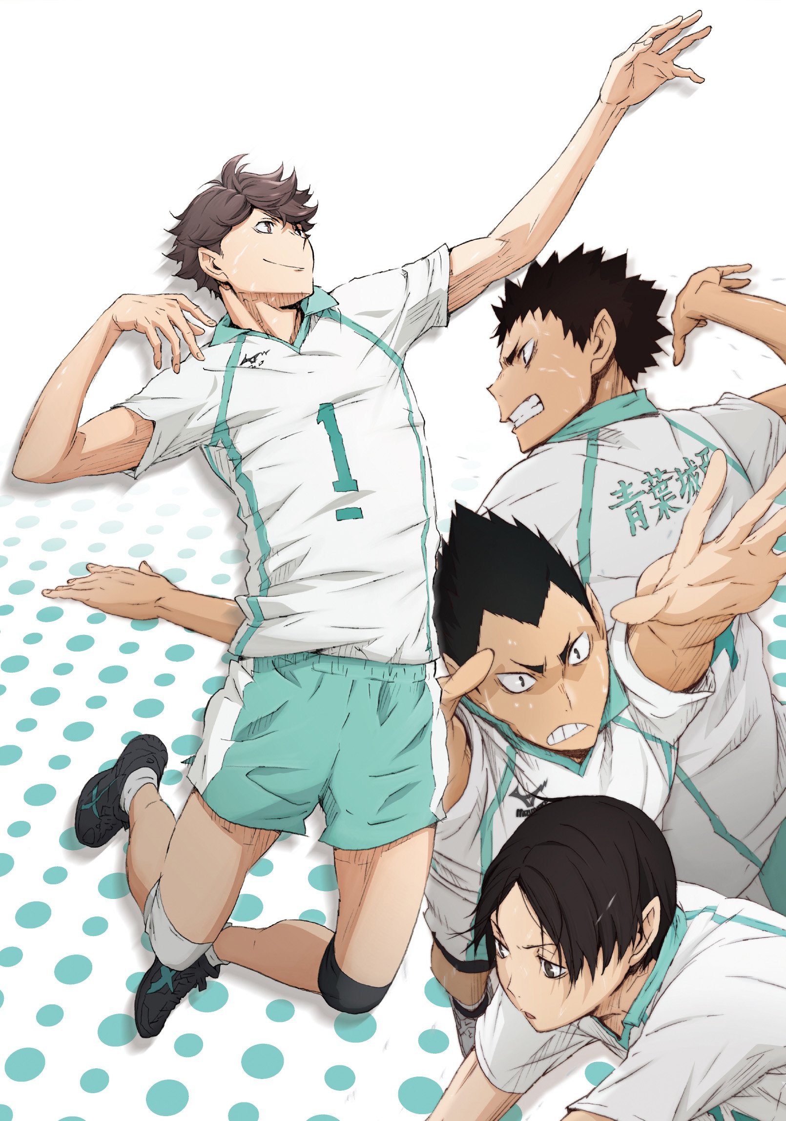Blu-ray] Haikyu!! Vol.8 (First Production Limited Edition